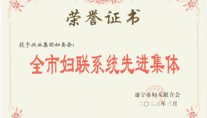 喜報！興業(yè)集團(tuán)婦委會榮獲“全市婦聯(lián)系統(tǒng)先進(jìn)集體”榮譽稱號